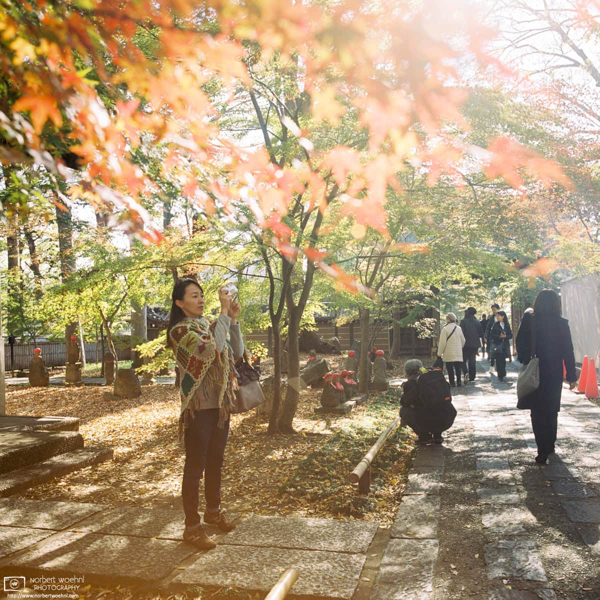 During autumn season, visitors are taking photos at Joshinji, a Buddhist temple affiliated with the Jōdo sect situated in the Setagaya Ward of Tokyo, Japan. © 2018 Norbert Woehnl Photography.