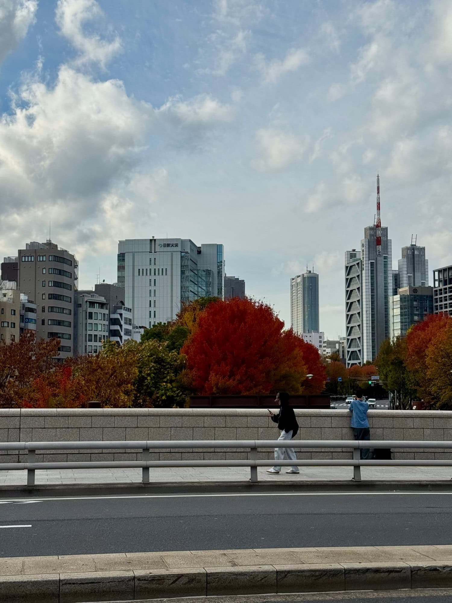 Early autumn colors seen from Hijiribashi Bridge in Tokyo, Japan. © 2025 Norbert Woehnl Photography.
