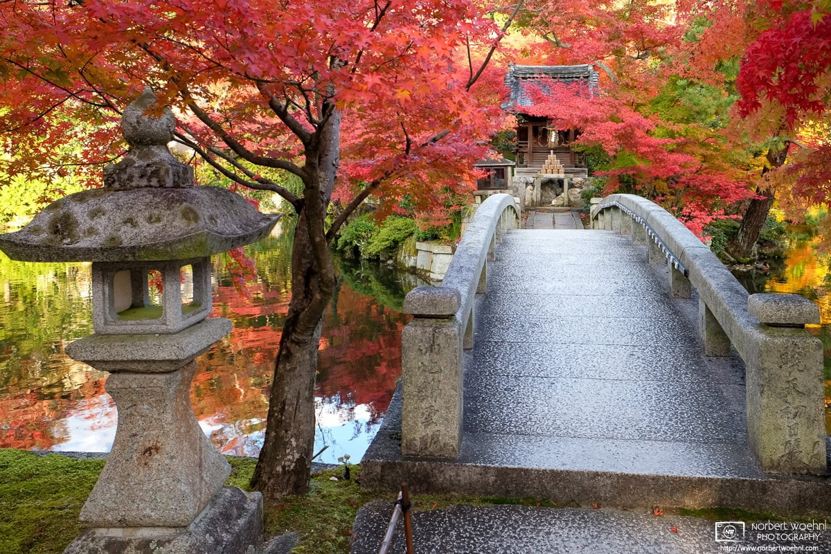 Colorful autumn foliage at Eikandō Zenrin-ji Temple in Kyoto, Japan. © 2013 Norbert Woehnl Photography.