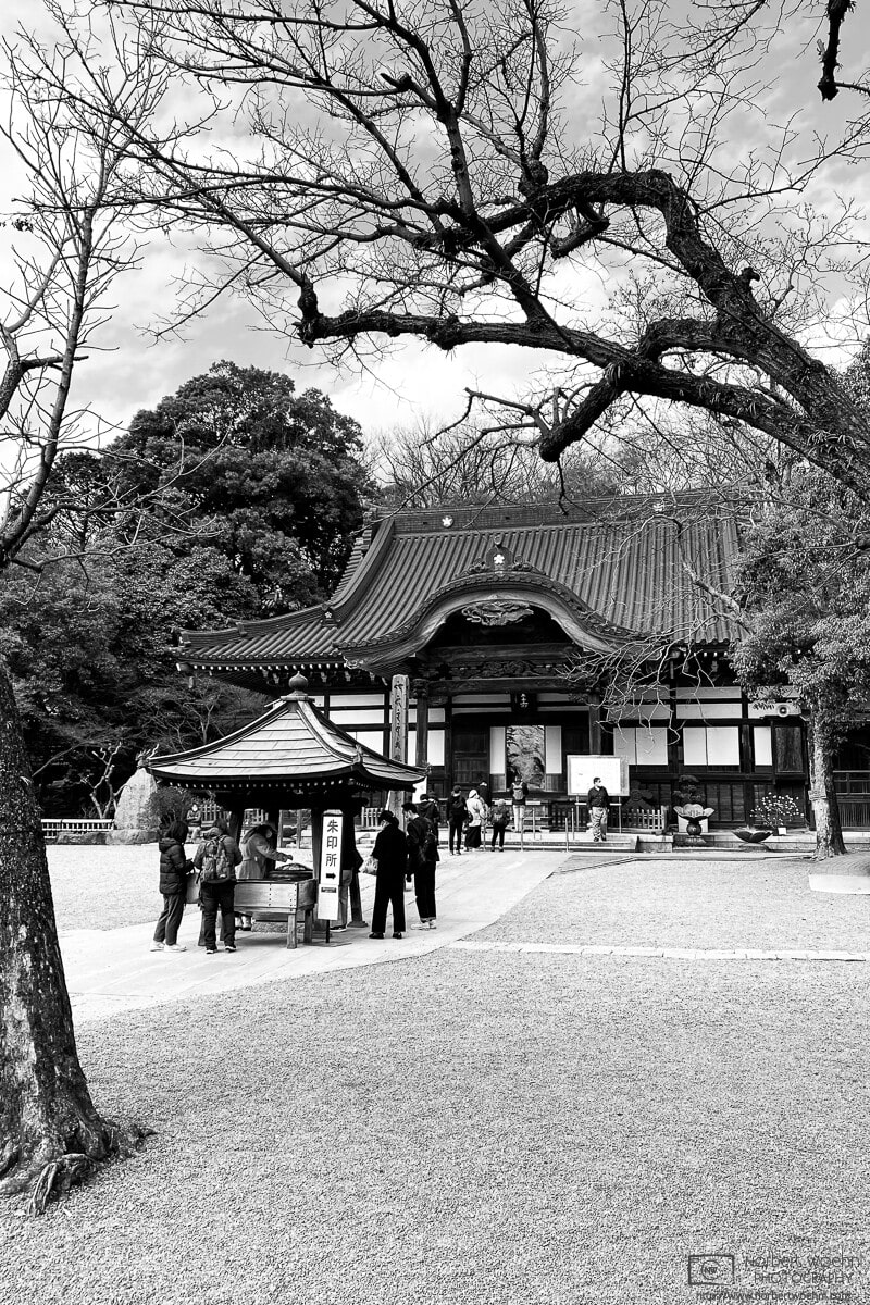 Jindai-ji in Chofu is one of the oldest Buddhist temples in Tokyo. This scene shows the spacious inner yard in front of its main hall. © 2022 Norbert Woehnl Photography.