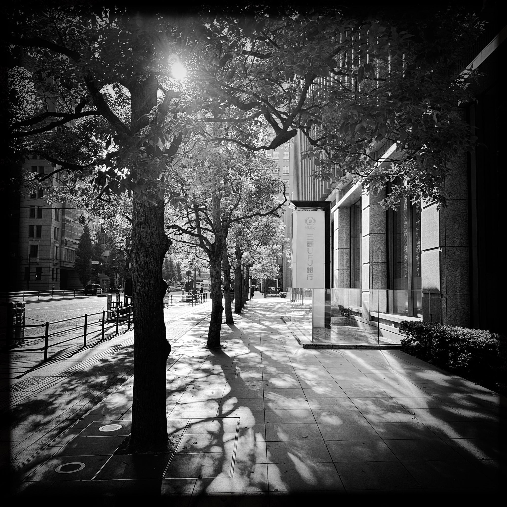 Summer morning scene with office buildings and trees; Marunouchi, Tokyo. © 2025 Norbert Woehnl Photography.