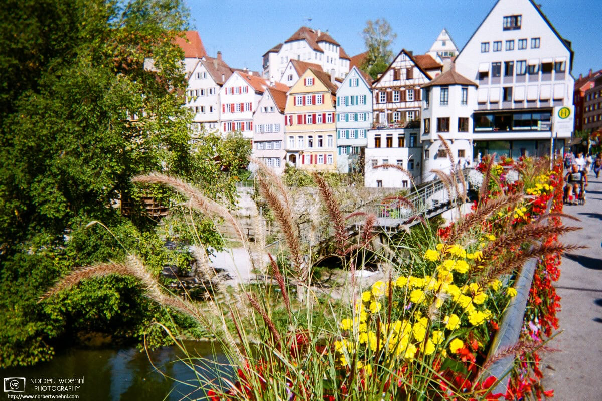 Colorful summer flowers engulf the view from Eberhard Bridge towards the medieval city center of Tübingen, Germany. © 2018 Norbert Woehnl Photography.