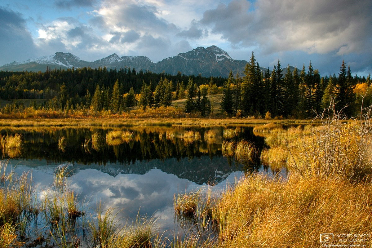 Late-afternoon sunlight hits golden autumn-colored vegetation at a small lake north of Jasper Townsite in Alberta, Canada. © 2005 Norbert Woehnl Photography.