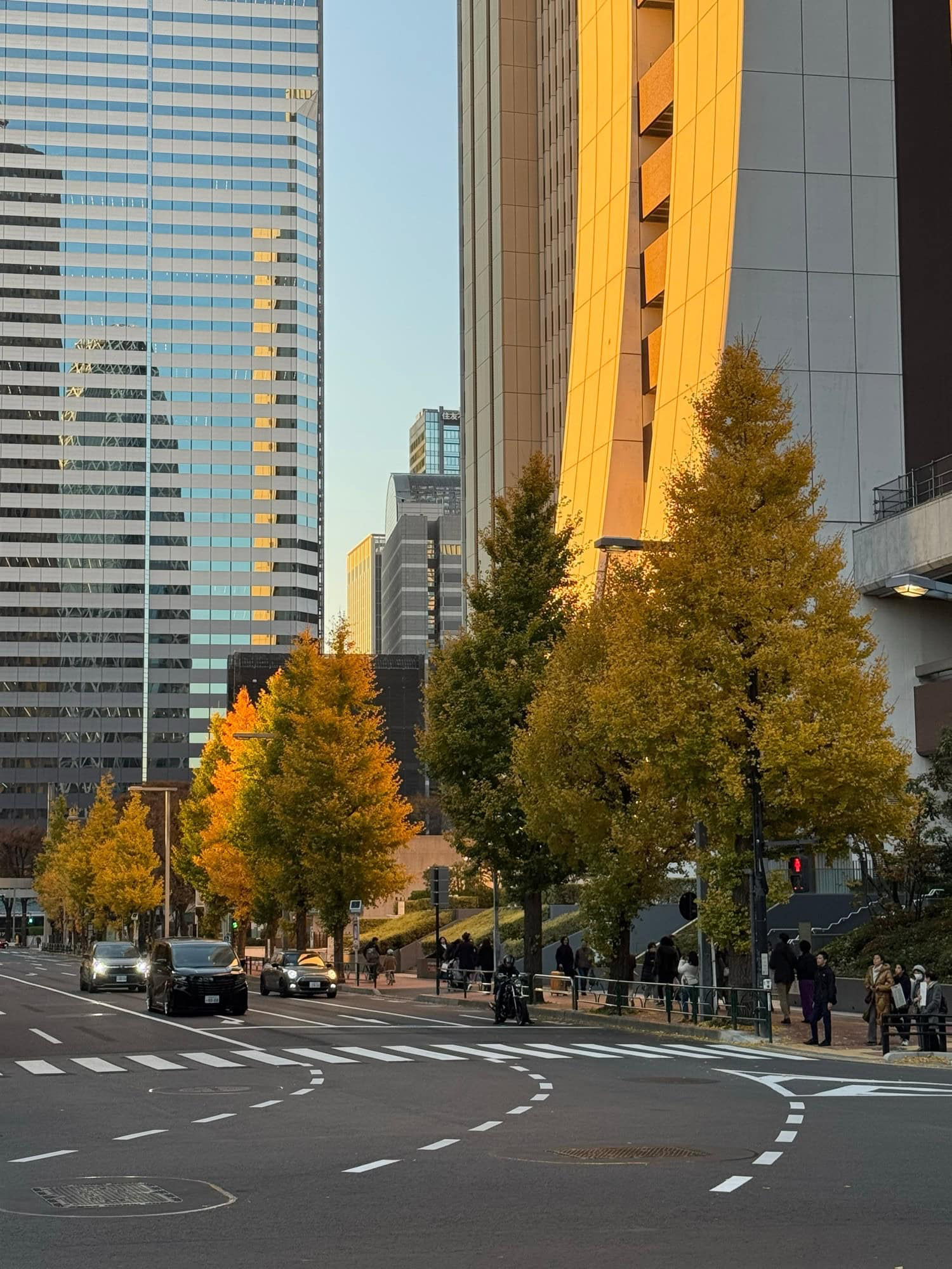 Autumn afternoon sun in Nishi-Shinjuku, Tokyo, Japan. © 2025 Norbert Woehnl Photography.