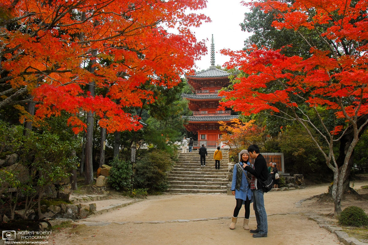 At Hōfukuji Temple in Soja, Okayama Prefecture, people are enjoying the vivid autumn colors displayed by the trees on the premises. © 2010 Norbert Woehnl Photography.