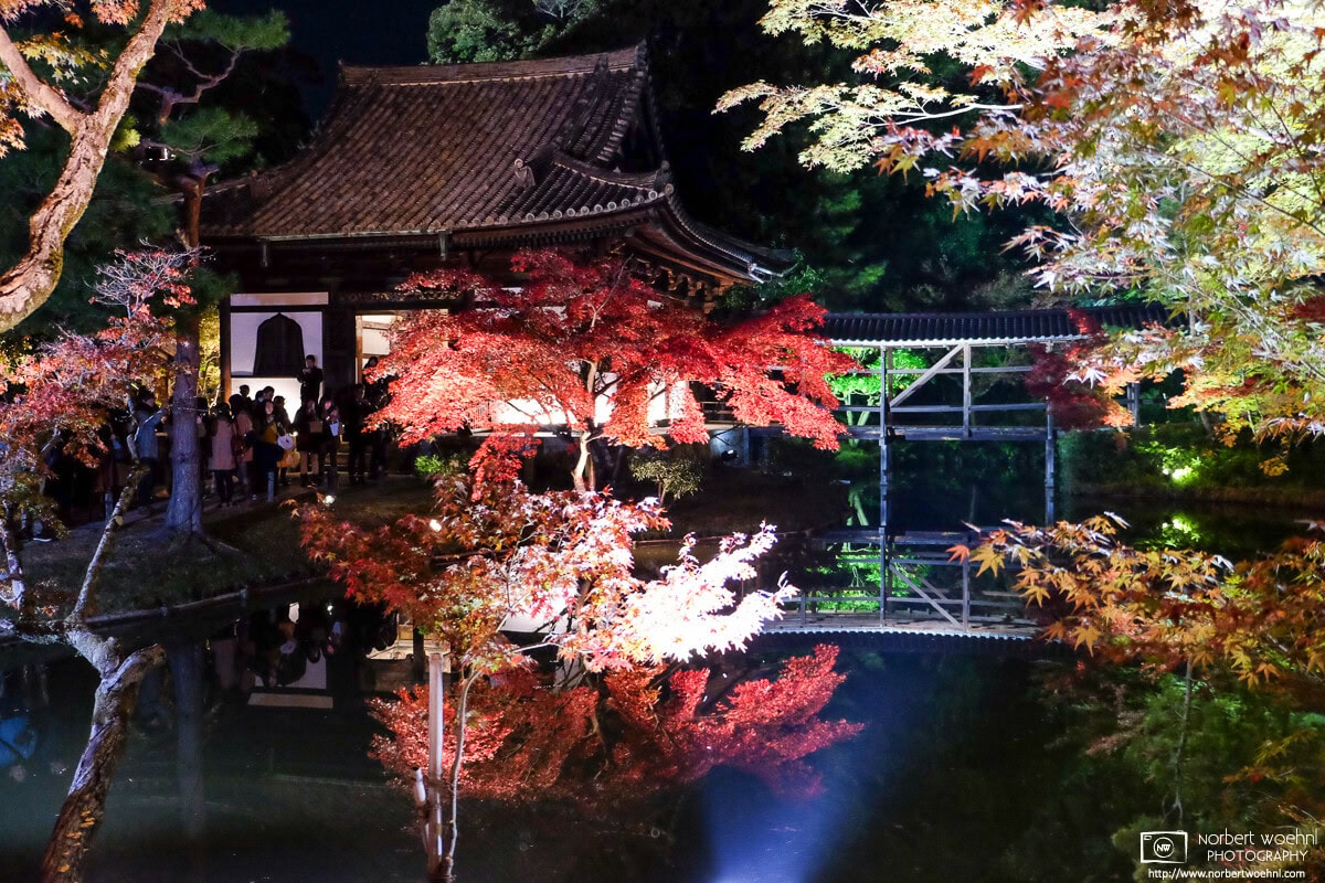 The garden at Kodaiji Temple in Kyoto is designated by the Japanese Government as a historical site and a place of scenic beauty. © 2013 Norbert Woehnl Photography.