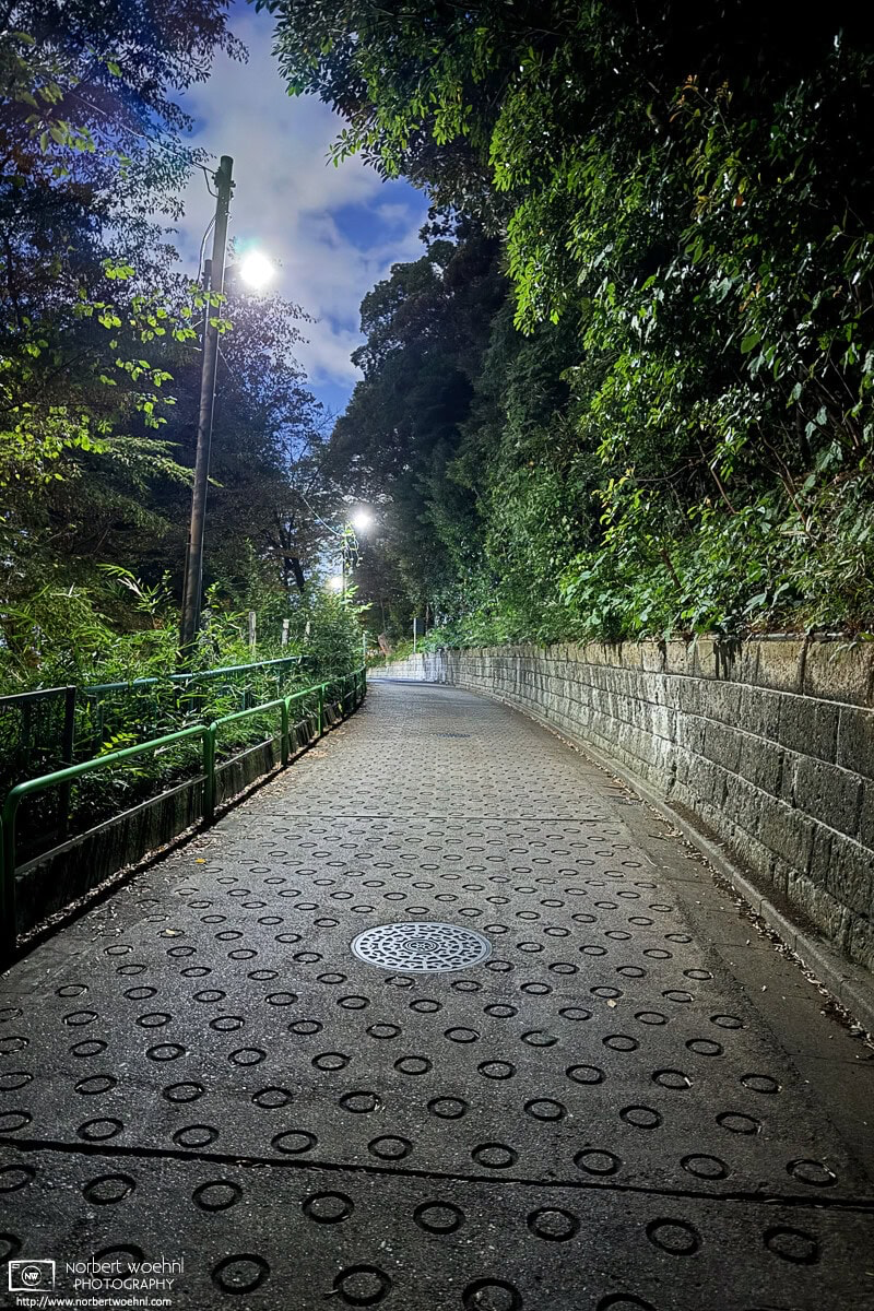 Backstreet night photo from the Shimura area of Itabashi Ward in Tokyo, Japan. © 2025 Norbert Woehnl Photography.