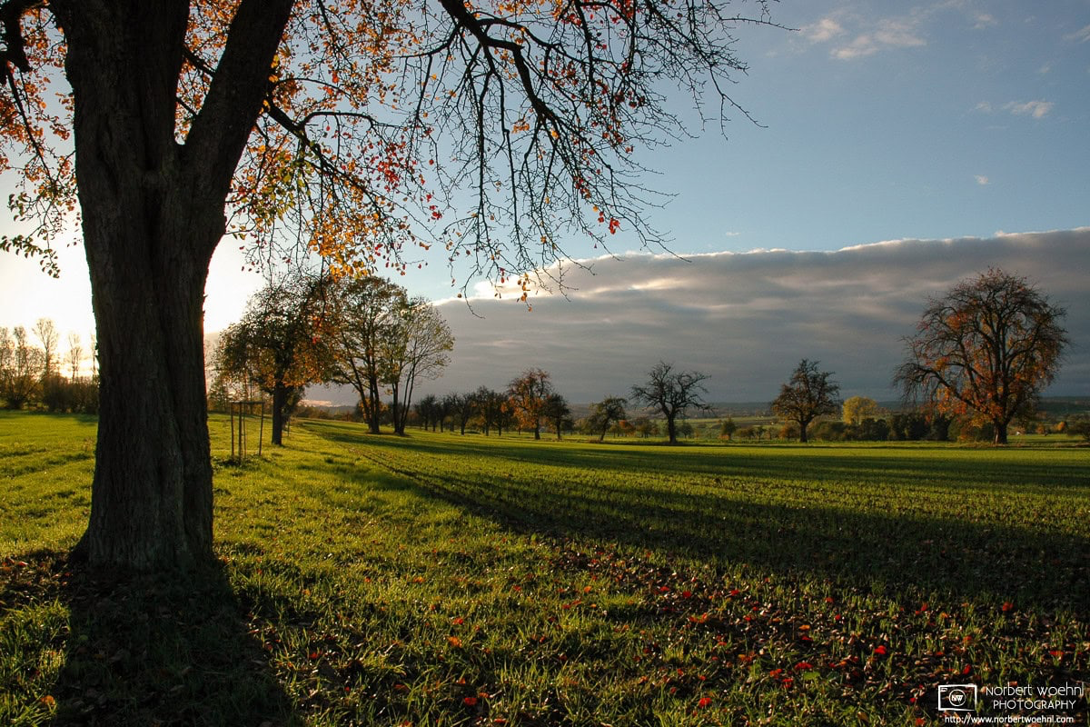 Scene from the fields and orchards outside the southwest-German village of Pliezhausen on a sunny autumn afternoon. © 2004 Norbert Woehnl Photography.
