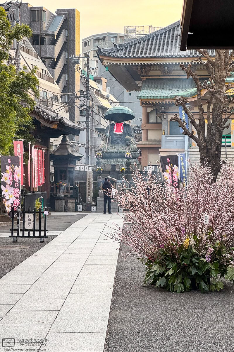 A visitor is praying in front of the big Jizō statue at Shinshoji Temple in Sugamo, Tokyo, Japan. © 2026 Norbert Woehnl Photography.