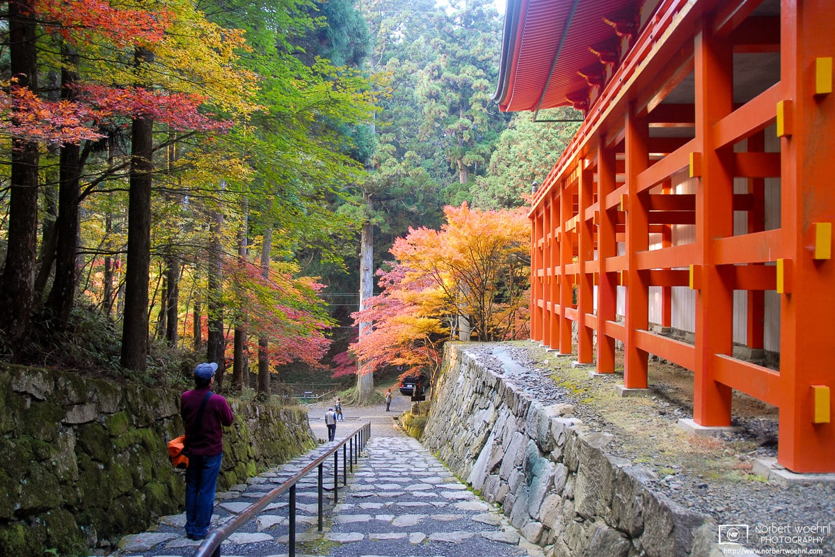 An autumnal visit to Enryaku-ji Temple in Otsu, Kyoto. © 2010 Norbert Woehnl Photography.