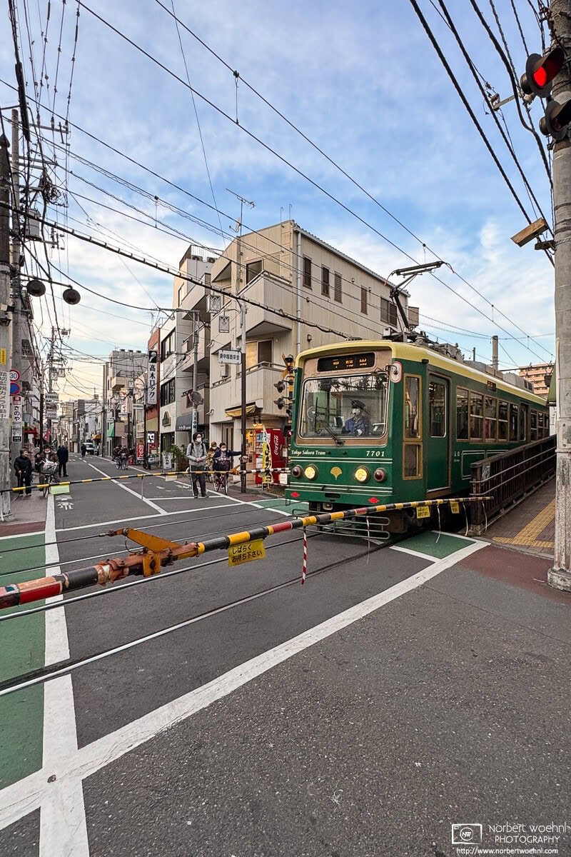 A Toden Arakawa Line train is crossing the road in the Nishi-Sugamo area of Tokyo, Japan. This line is also branded as the “Tokyo Sakura Tram”. © 2026 Norbert Woehnl Photography.