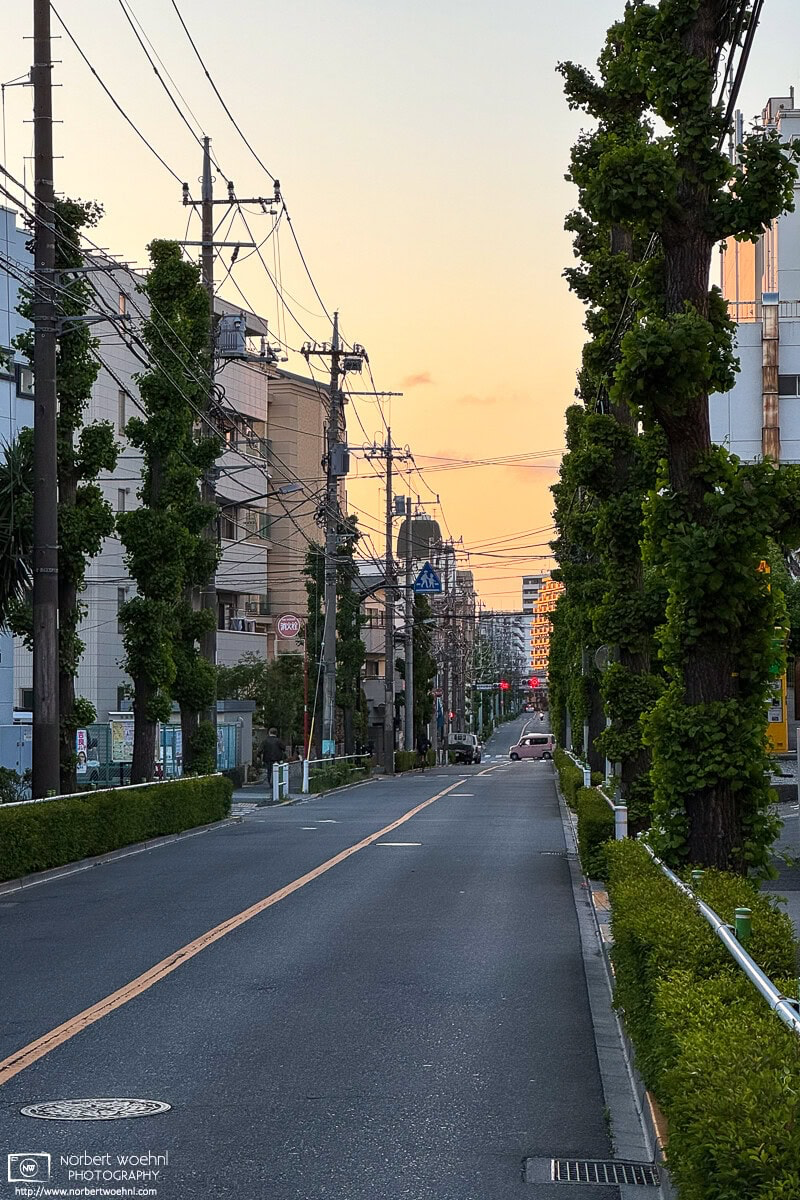 Evening scene in a quiet residential area of the Shimura district in Itabashi, Tokyo. © 2025 Norbert Woehnl Photography.