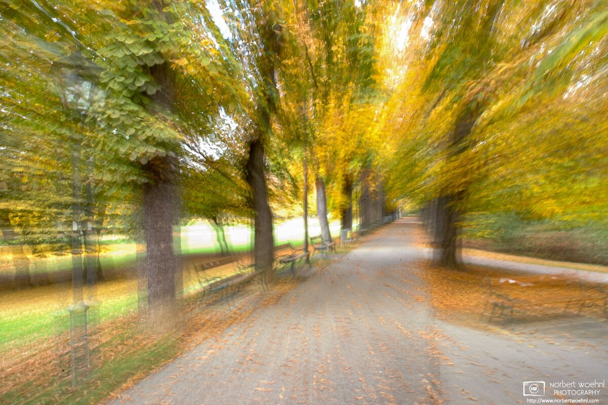 At Stadtpark in Graz, Austria, this is an autumn perspective along Friedrich-von-Gagern-Allee. I created this effect by changing the zoom level during exposure. © 2005 Norbert Woehnl Photography.