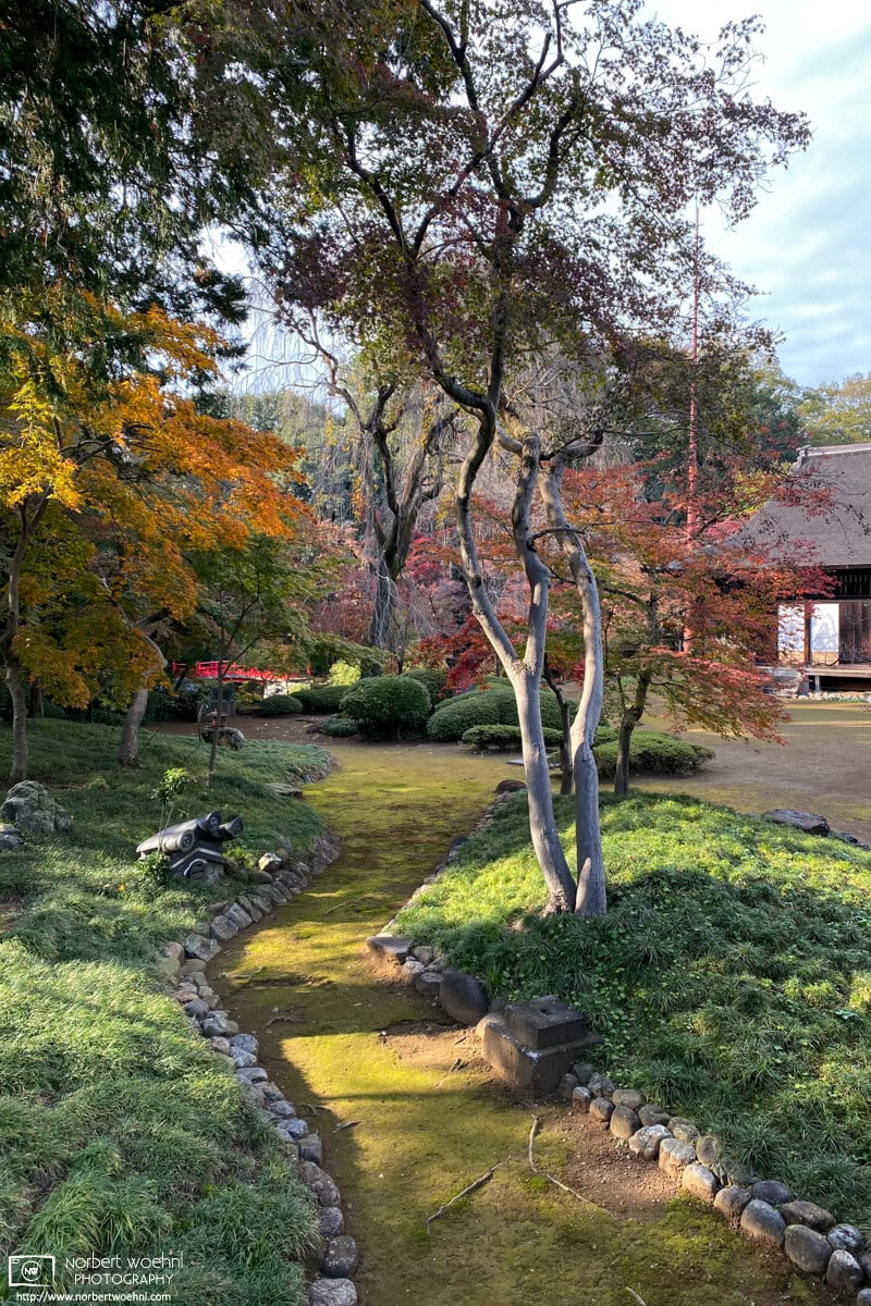 View of a beautiful garden at Kita-in Temple in Kawagoe, Japan, during autumn season. © 2021 Norbert Woehnl Photography.