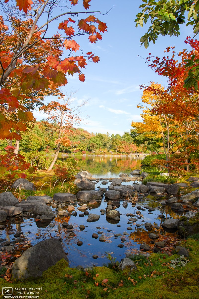 A natural frame of vivid autumn colors alongside a pond at Showa Memorial Park in Tachikawa on the western outskirts of Tokyo, Japan. © 2006 Norbert Woehnl Photography.