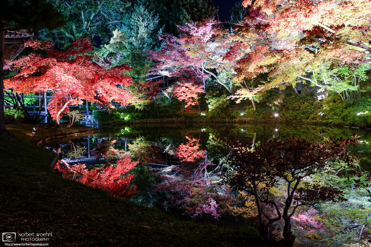 Colorful autumn foliage is reflected off of the pond at Kodaiji Temple in Kyoto, Japan. © 2013 Norbert Woehnl Photography.