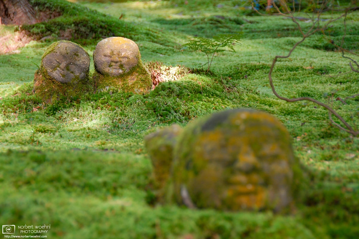 Stone statues in the moss garden at Sanzen-in Temple in Ohara, Kyoto, Japan. © 2010 Norbert Woehnl Photography.