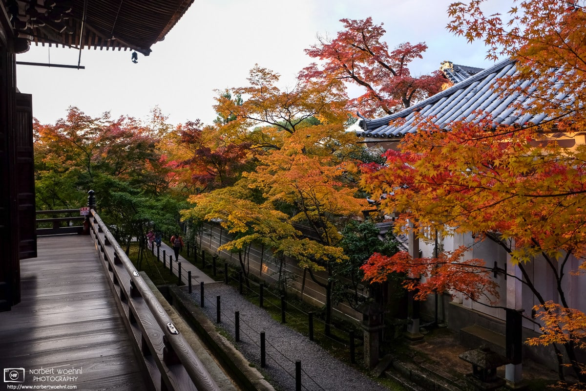 Colorful autumn foliage at Eikandō Zenrin-ji Temple in Kyoto, Japan. © 2013 Norbert Woehnl Photography.
