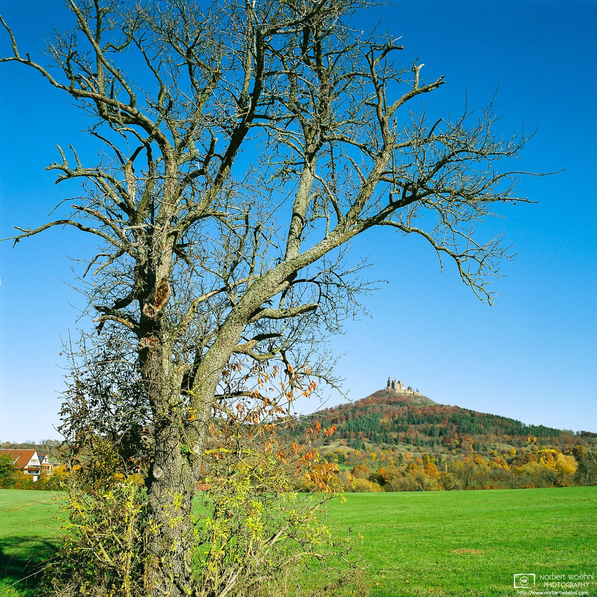 Autumn view towards Hohenzollern Castle from the village of Bisingen in southwestern Germany. © 2015 Norbert Woehnl Photography.