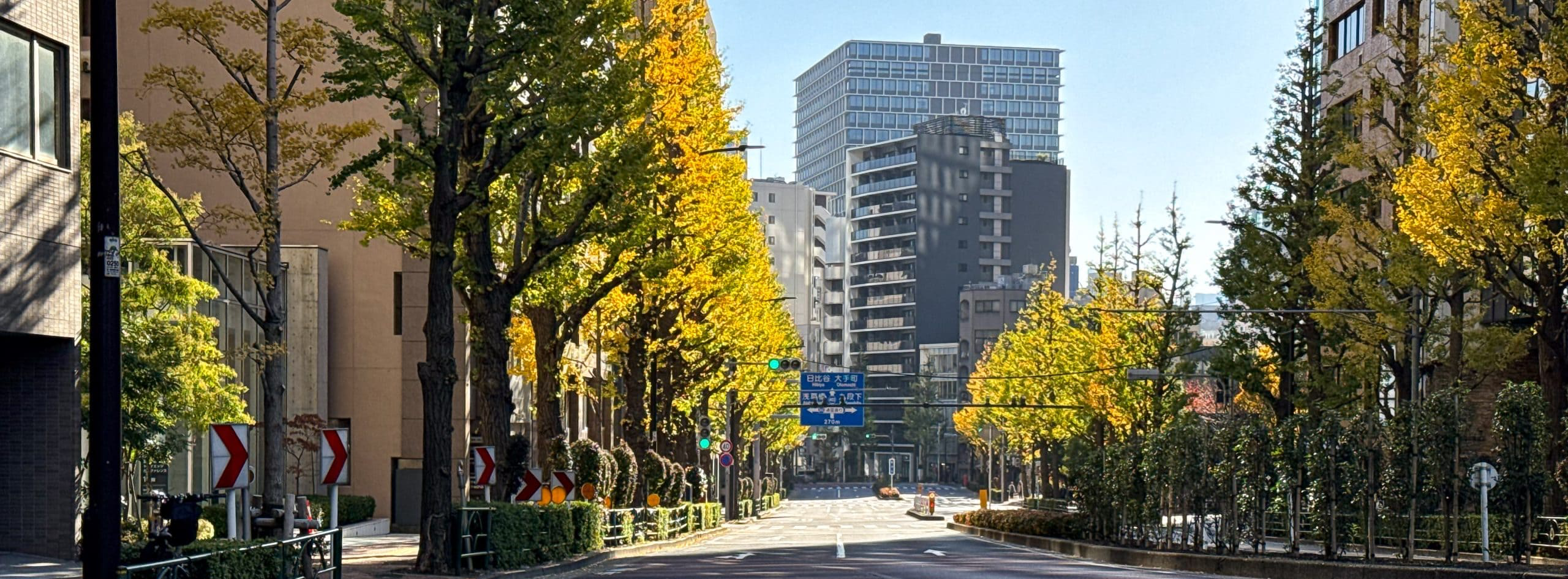 Autumnal street scene from the Kandasurugadai area in Chiyoda Ward, Tokyo, Japan. © 2025 Norbert Woehnl Photography.