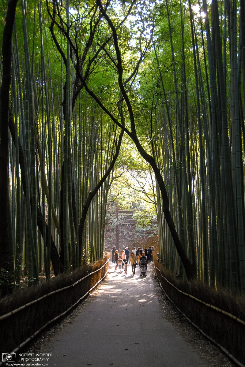 The bamboo grove in Arashiyama on the western outskirts of Kyoto, Japan. © 2009 Norbert Woehnl Photography.