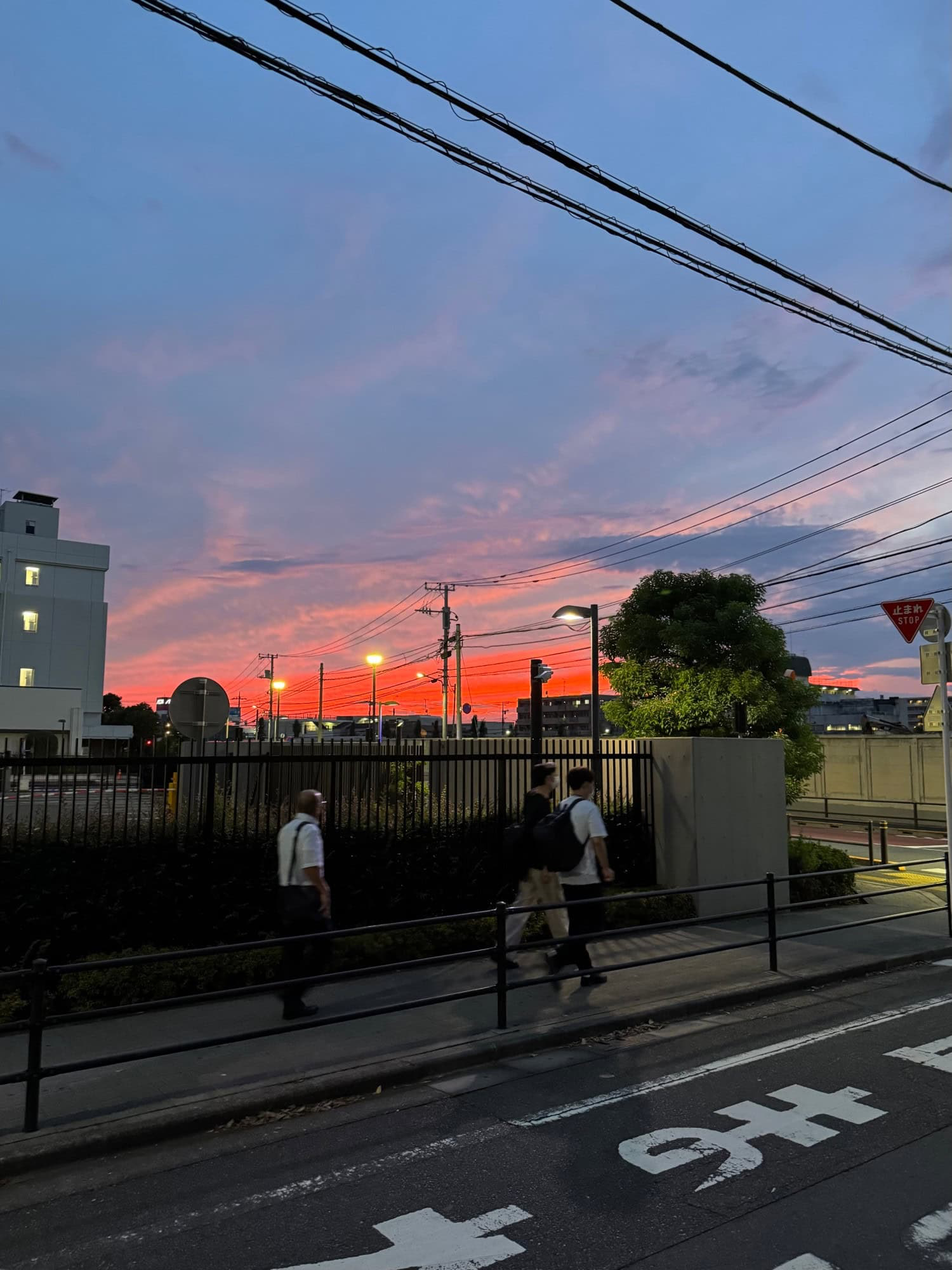 Red and purple summer evening sky in a residential neighborhood of Itabashi Ward in Tokyo, Japan. © 2025 Norbert Woehnl Photography.