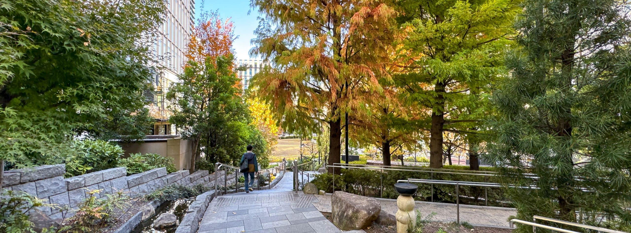 Autumnal scene from Awaji Park in the Kandaawajicho area in Chiyoda Ward, Tokyo, Japan. © 2025 Norbert Woehnl Photography.