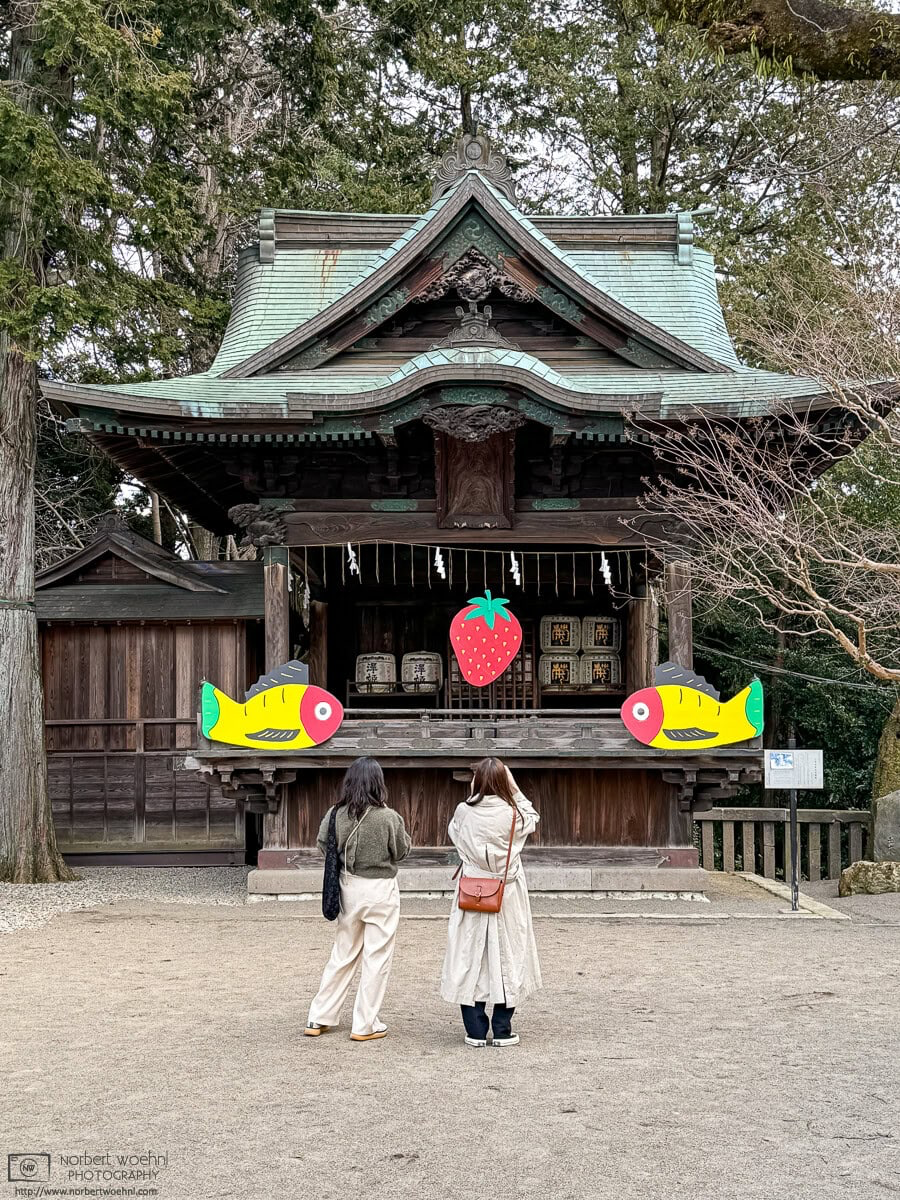 Visitors at Futaarayama Shrine in Utsunomiya, Tochigi Prefecture, are looking at colorful decorations outside Kagura Hall. © 2024 Norbert Woehnl Photography.