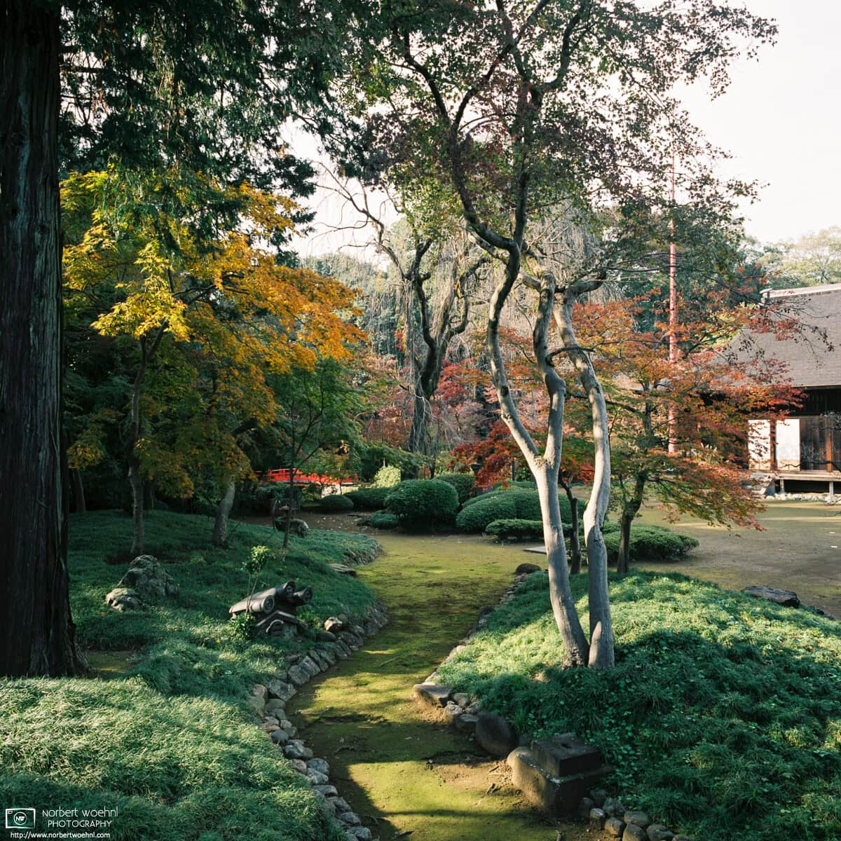 Autumn impression from the garden at Kitain Temple in Kawagoe, Saitama Prefecture, Japan. © 2021 Norbert Woehnl Photography.