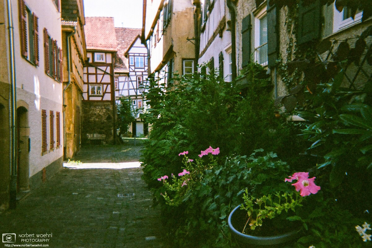 A lot of greenery in a narrow cobblestone alley in the historic city center of Tübingen, Germany. © 2018 Norbert Woehnl Photography.