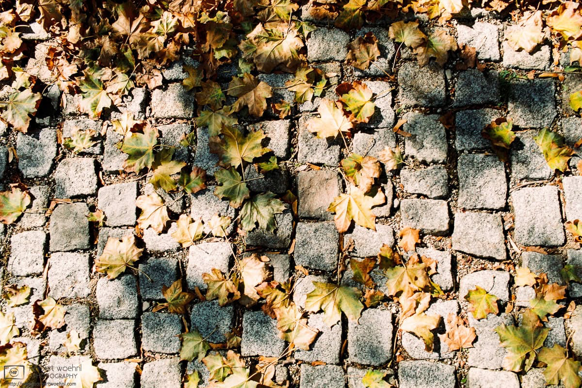 Fallen autumn leaves and cobblestone pavement blending into a nice seasonal pattern in the southwest-German village of Neckartailfingen. © 2016 Norbert Woehnl Photography.