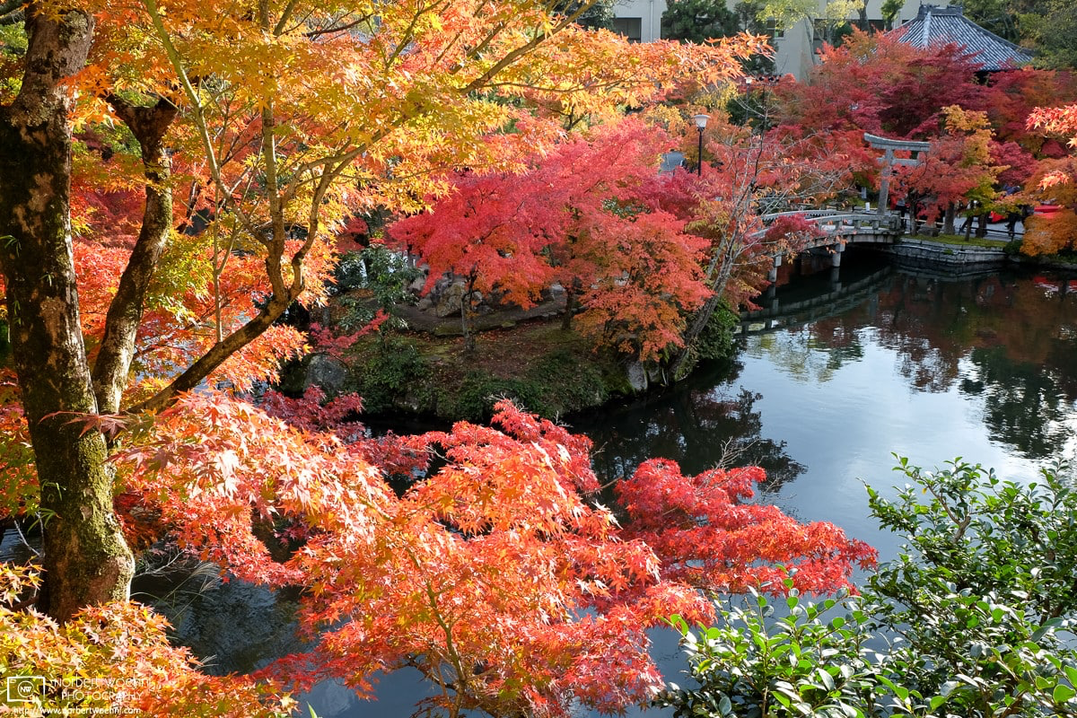 Colorful autumn foliage at Eikandō Zenrin-ji Temple in Kyoto, Japan. © 2013 Norbert Woehnl Photography.