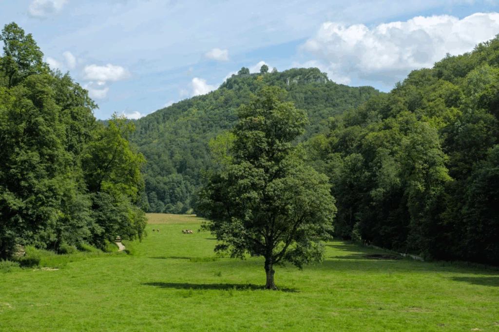 Das Tal, durch das man wandert